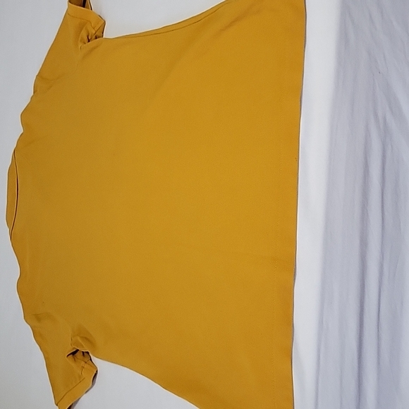American Eagle Outfitter Polo|Men|Size Large|Mustard| - Picture 8 of 11